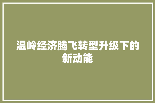 温岭经济腾飞转型升级下的新动能 温岭经济腾飞转型升级下的新动能