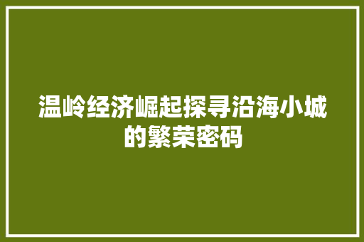 温岭经济崛起探寻沿海小城的繁荣密码 温岭经济崛起探寻沿海小城的繁荣密码