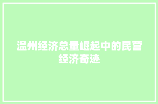 温州经济总量崛起中的民营经济奇迹 温州经济总量崛起中的民营经济奇迹