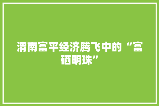 渭南富平经济腾飞中的“富硒明珠” 渭南富平经济腾飞中的“富硒明珠”