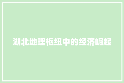 湖北地理枢纽中的经济崛起 湖北地理枢纽中的经济崛起