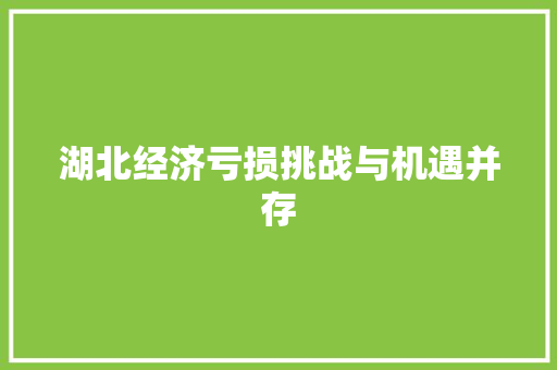 湖北经济亏损挑战与机遇并存 湖北经济亏损挑战与机遇并存
