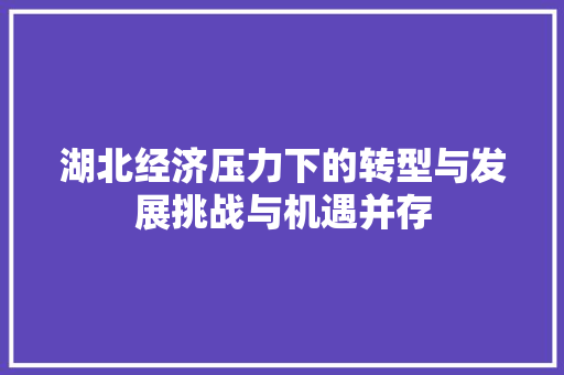 湖北经济压力下的转型与发展挑战与机遇并存 湖北经济压力下的转型与发展挑战与机遇并存
