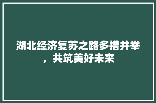 湖北经济复苏之路多措并举,共筑美好未来 湖北经济复苏之路多措并举,共筑美好未来