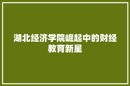 湖北经济学院崛起中的财经教育新星 湖北经济学院崛起中的财经教育新星