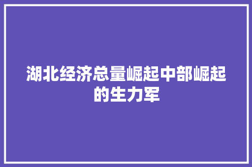 湖北经济总量崛起中部崛起的生力军 湖北经济总量崛起中部崛起的生力军