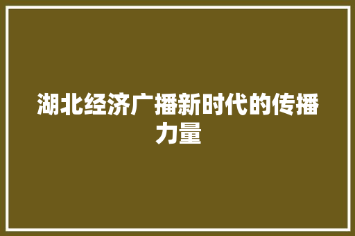 湖北经济广播新时代的传播力量 湖北经济广播新时代的传播力量