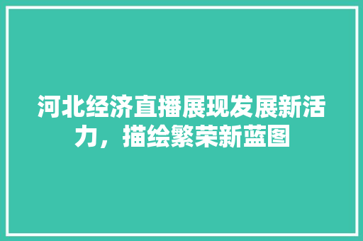 河北经济直播展现发展新活力,描绘繁荣新蓝图 河北经济直播展现发展新活力,描绘繁荣新蓝图