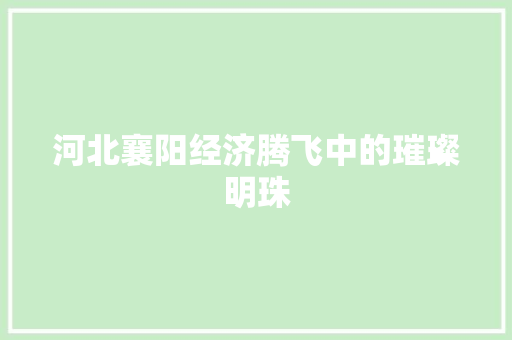 河北襄阳经济腾飞中的璀璨明珠 河北襄阳经济腾飞中的璀璨明珠