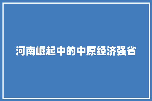 河南崛起中的中原经济强省 河南崛起中的中原经济强省