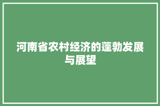 河南省农村经济的蓬勃发展与展望 河南省农村经济的蓬勃发展与展望