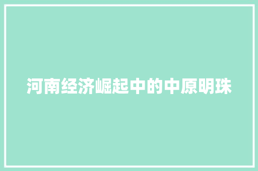 河南经济崛起中的中原明珠 河南经济崛起中的中原明珠