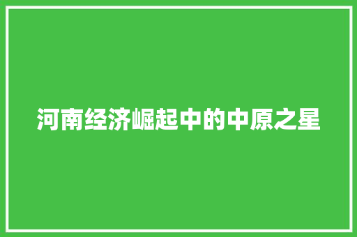河南经济崛起中的中原之星 河南经济崛起中的中原之星