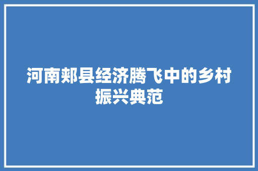 河南郏县经济腾飞中的乡村振兴典范 河南郏县经济腾飞中的乡村振兴典范