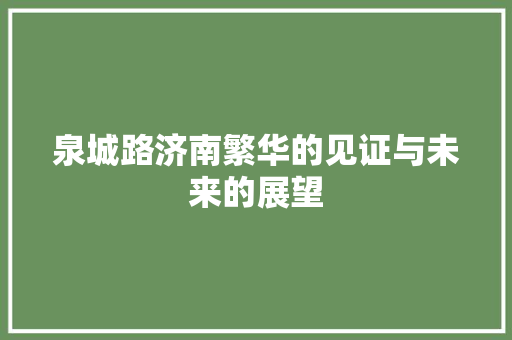 泉城路济南繁华的见证与未来的展望 泉城路济南繁华的见证与未来的展望
