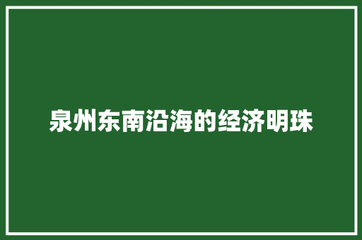 泉州东南沿海的经济明珠 泉州东南沿海的经济明珠