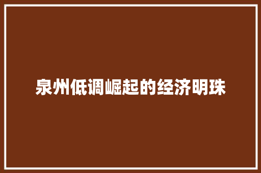 泉州低调崛起的经济明珠 泉州低调崛起的经济明珠