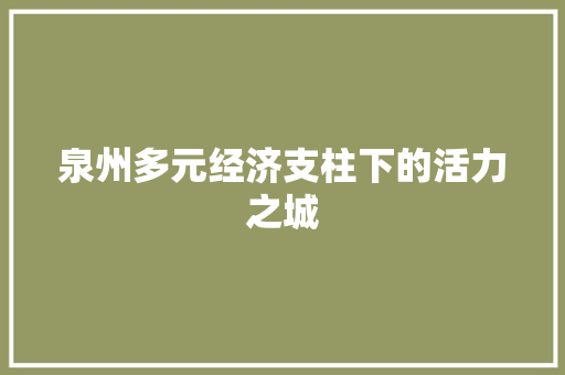 泉州多元经济支柱下的活力之城 泉州多元经济支柱下的活力之城