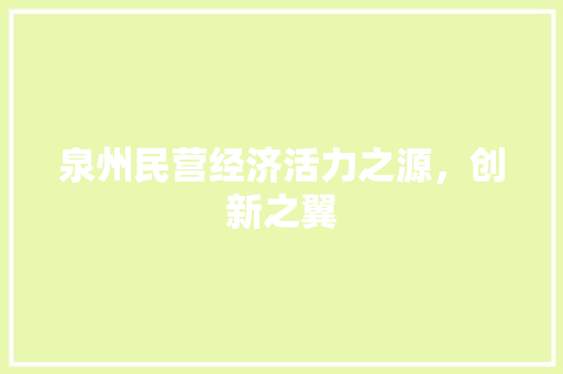 泉州民营经济活力之源,创新之翼 泉州民营经济活力之源,创新之翼