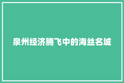 泉州经济腾飞中的海丝名城 泉州经济腾飞中的海丝名城