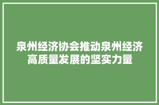 泉州经济协会推动泉州经济高质量发展的坚实力量 泉州经济协会推动泉州经济高质量发展的坚实力量