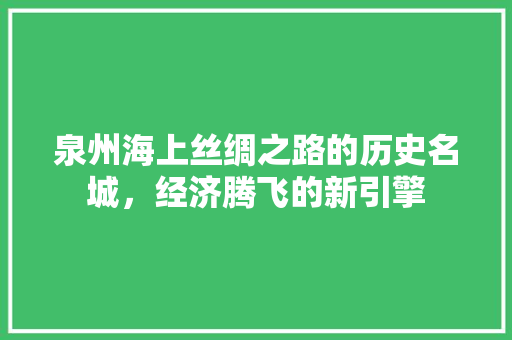 泉州海上丝绸之路的历史名城,经济腾飞的新引擎 泉州海上丝绸之路的历史名城,经济腾飞的新引擎