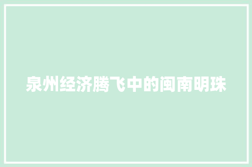 泉州经济腾飞中的闽南明珠 泉州经济腾飞中的闽南明珠