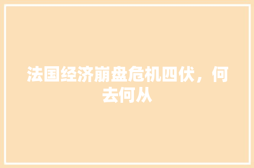 法国经济崩盘危机四伏,何去何从 法国经济崩盘危机四伏,何去何从