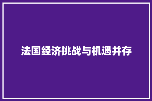 法国经济挑战与机遇并存 法国经济挑战与机遇并存