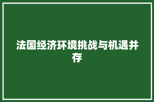 法国经济环境挑战与机遇并存 法国经济环境挑战与机遇并存