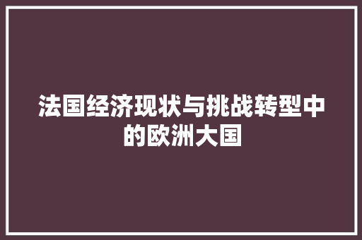 法国经济现状与挑战转型中的欧洲大国 法国经济现状与挑战转型中的欧洲大国