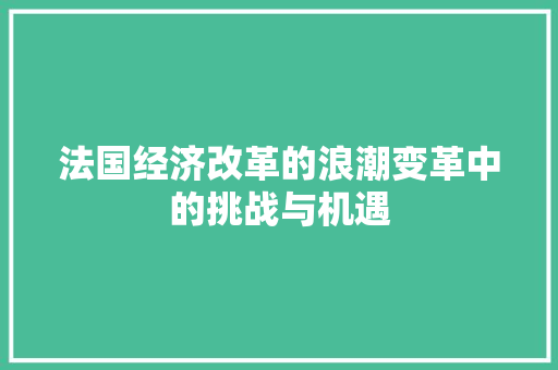法国经济改革的浪潮变革中的挑战与机遇 法国经济改革的浪潮变革中的挑战与机遇