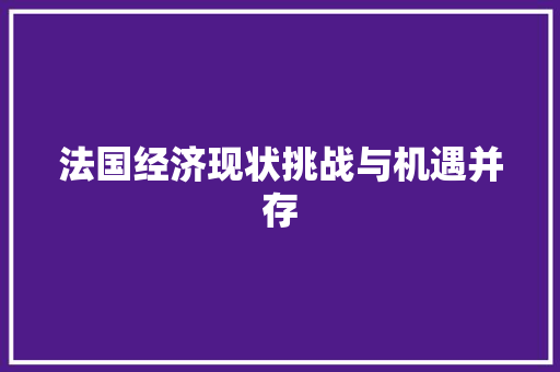 法国经济现状挑战与机遇并存 法国经济现状挑战与机遇并存