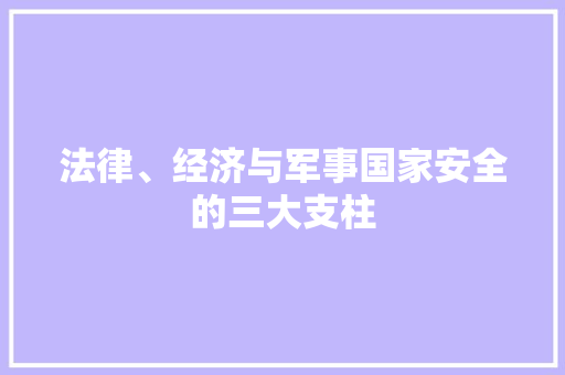 法律、经济与军事国家安全的三大支柱 法律、经济与军事国家安全的三大支柱