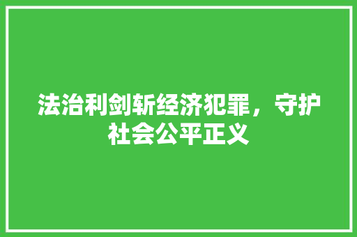 法治利剑斩经济犯罪,守护社会公平正义 法治利剑斩经济犯罪,守护社会公平正义