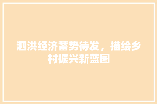 泗洪经济蓄势待发,描绘乡村振兴新蓝图 泗洪经济蓄势待发,描绘乡村振兴新蓝图