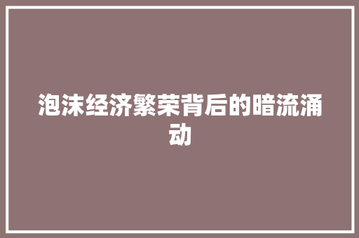 泡沫经济繁荣背后的暗流涌动 泡沫经济繁荣背后的暗流涌动