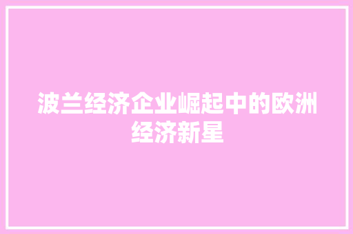 波兰经济企业崛起中的欧洲经济新星 波兰经济企业崛起中的欧洲经济新星