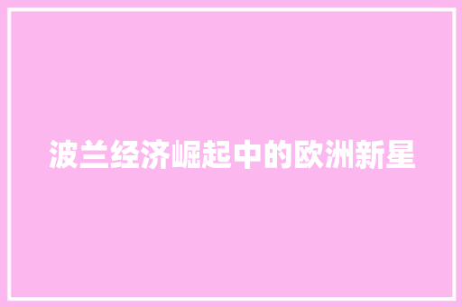 波兰经济崛起中的欧洲新星 波兰经济崛起中的欧洲新星