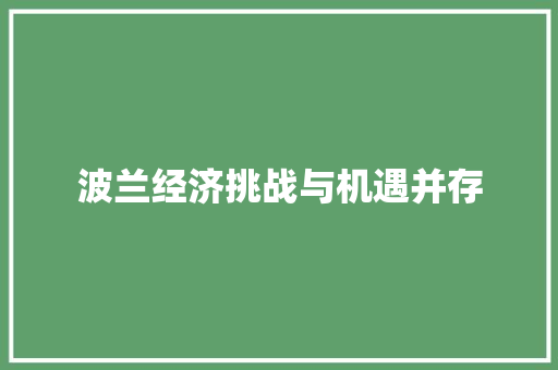 波兰经济挑战与机遇并存