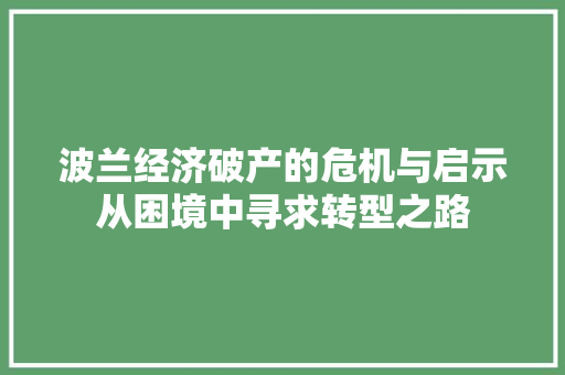 波兰经济破产的危机与启示从困境中寻求转型之路 波兰经济破产的危机与启示从困境中寻求转型之路