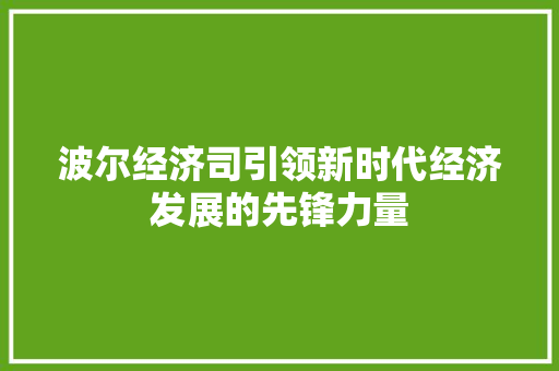 波尔经济司引领新时代经济发展的先锋力量 波尔经济司引领新时代经济发展的先锋力量