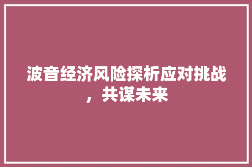 波音经济风险探析应对挑战,共谋未来 波音经济风险探析应对挑战,共谋未来