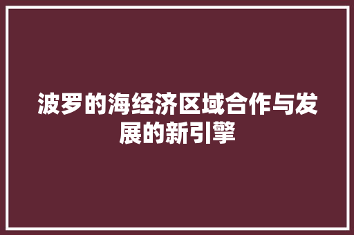 波罗的海经济区域合作与发展的新引擎 波罗的海经济区域合作与发展的新引擎
