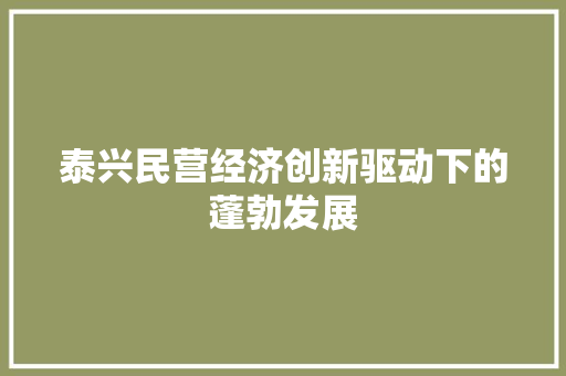 泰兴民营经济创新驱动下的蓬勃发展 泰兴民营经济创新驱动下的蓬勃发展