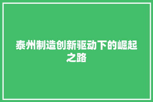 泰州制造创新驱动下的崛起之路 泰州制造创新驱动下的崛起之路