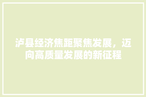 泸县经济焦距聚焦发展,迈向高质量发展的新征程 泸县经济焦距聚焦发展,迈向高质量发展的新征程