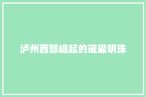 泸州西部崛起的璀璨明珠 泸州西部崛起的璀璨明珠