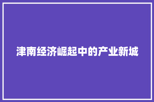 津南经济崛起中的产业新城 津南经济崛起中的产业新城
