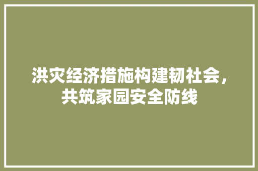 洪灾经济措施构建韧社会,共筑家园安全防线 洪灾经济措施构建韧社会,共筑家园安全防线